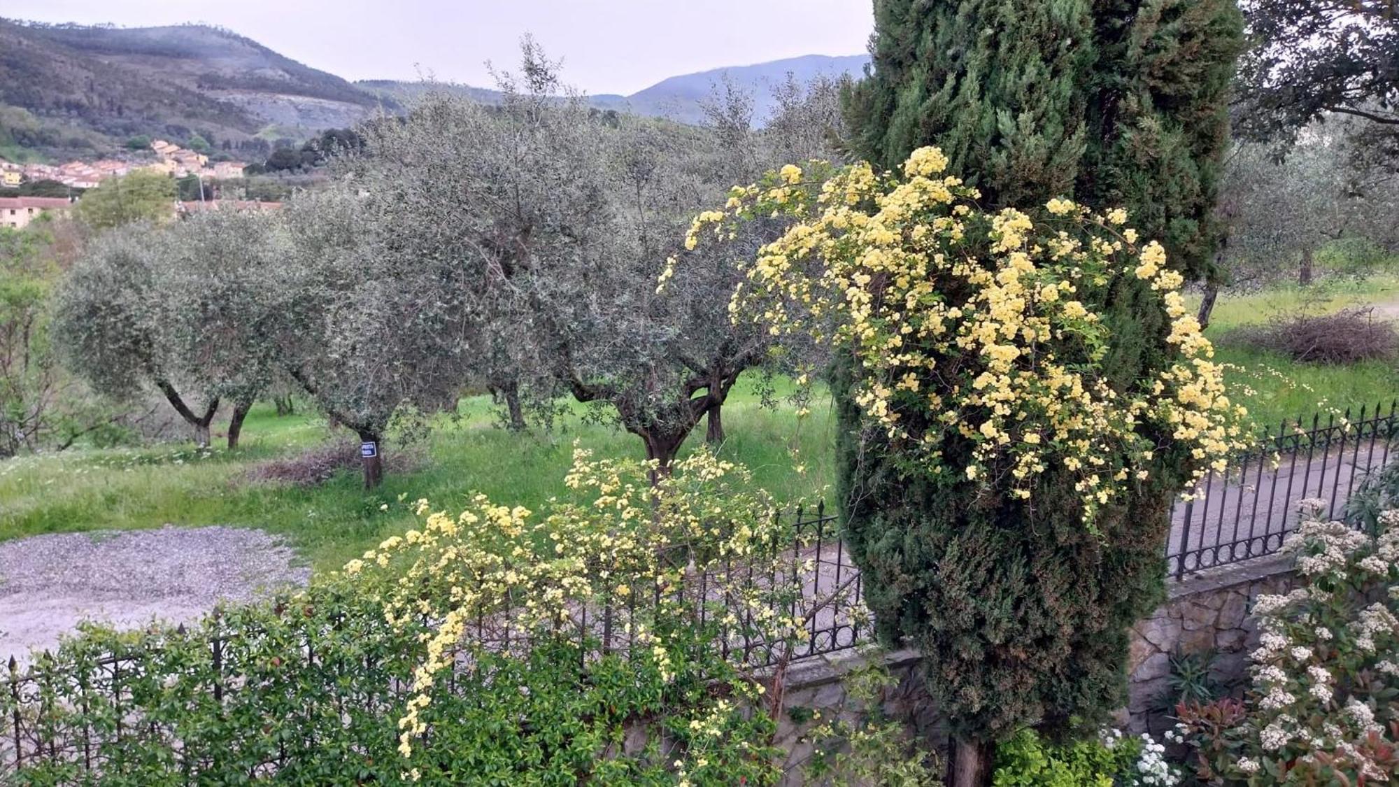 Villa Salviati Prato  Exterior photo